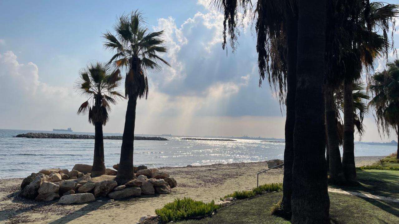 Beachfront Villa - Dasaki Lárnaka Kültér fotó